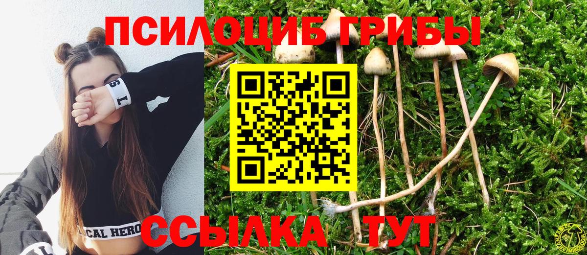 Псилоцибиновые грибы Psilocybine cubensis Тихорецк