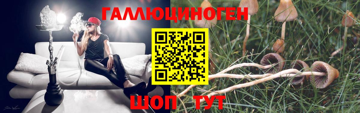 Псилоцибиновые грибы Psilocybine cubensis  Вход с VPN  где продают   Тихорецк 